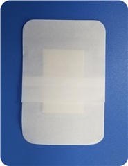 Chitosan functional bandage